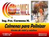 Foto de Agromiel, S.P.R. De R.I.-miel de abeja
