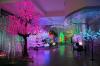 Foto de Brisart and Decorations-decoracin con palmeras, bambooes,