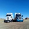 Foto de Transportes Borunda