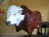 Foto de Toro show