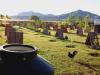 Foto de Granja  la zorra