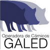 Foto de Operadore de carnicos galed, S. De R. L. De C.V.