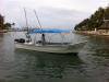 Foto de Nuevo Vallarta Sport fishing