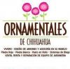 Foto de Ornamentales de chihuahua