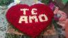Foto de Floreria lucero