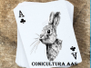 Foto de Cunicultura AAS