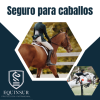 Foto de Equinsur especialista en seguros para caballos