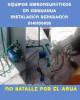 Foto de Equipos hidroneumticos y servicios en Chihuahua